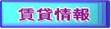 ���ݏ��